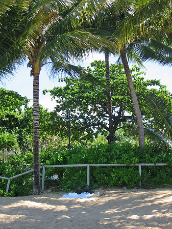 Fotos Strand | Cairns