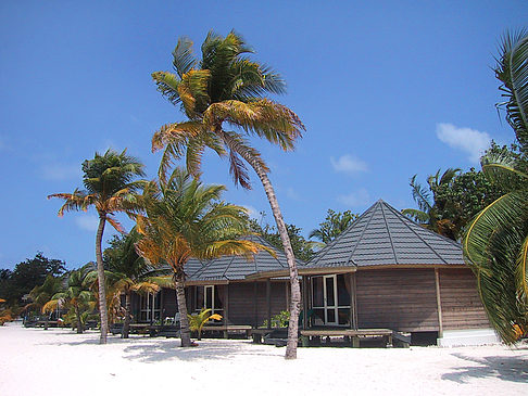 Der weiße Sandstrand der Malediven Foto 