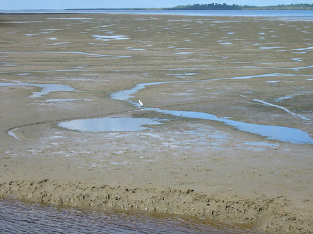 Fraser Island Foto 