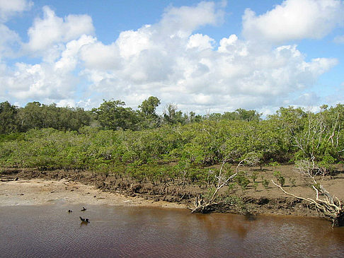 Fraser Island