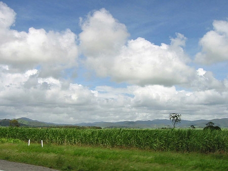 Fahrt nach Hervey Bay Fotos