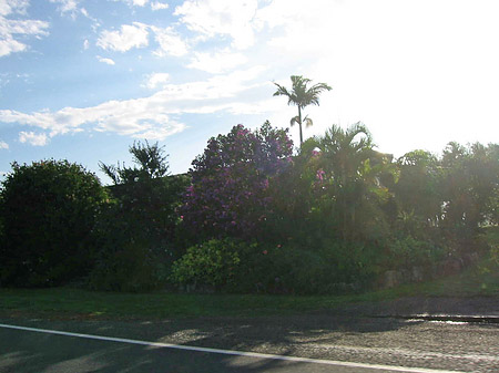 Fahrt nach Port Macquarie Foto 