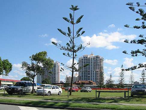 Surfer's Paradise Fotos